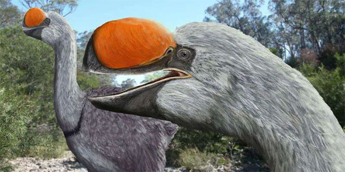 Picture 1 of Origin of 50,000-year-old giant eggs in Australia