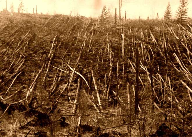 Picture 3 of Patomskiy Pit: The Solution to One of the '3 Great Secrets of the Century'?