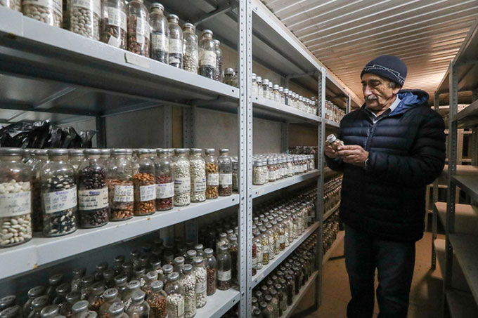 Picture 1 of Permafrost seed bank