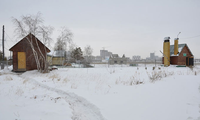 Picture 2 of Permafrost seed bank