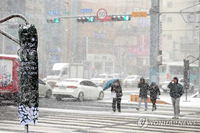 Photo series: Korea froze in the Arctic cold wave, white snow and ice covered many cities Picture 4