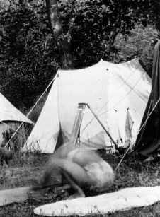 Picture 5 of Photographing the past - a surprising discovery in the scientific world