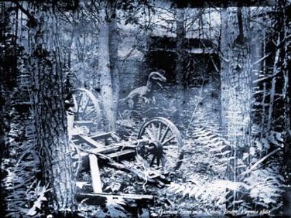 Picture 6 of Photographing the past - a surprising discovery in the scientific world