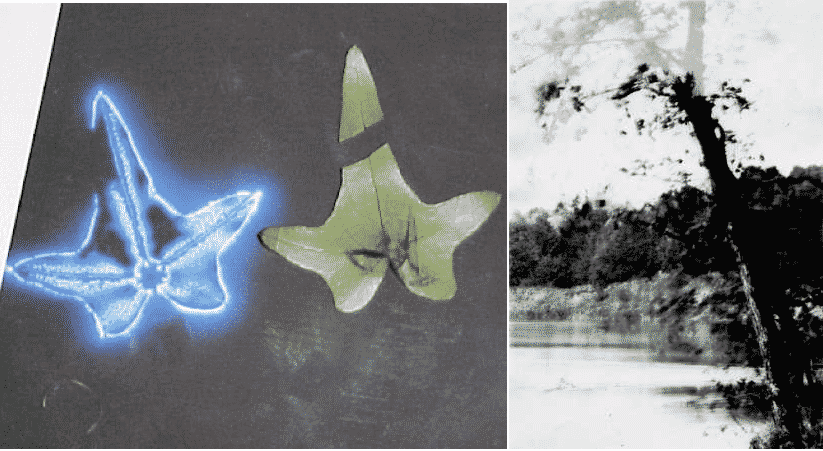 Picture 8 of Photographing the past - a surprising discovery in the scientific world