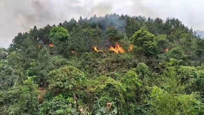 Picture 2 of Pilot may lose consciousness when Chinese plane crashes 'vertically'