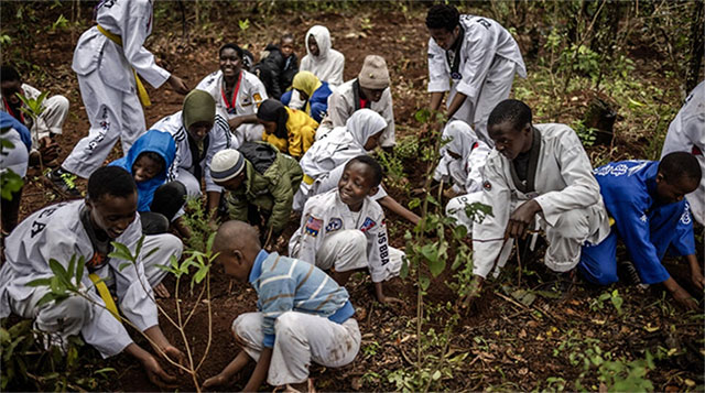 Picture 1 of Planting trees in the wrong place will heat the planet