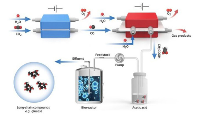 Potential to synthesize drugs and artificial food from CO2 Picture 1