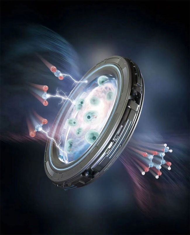 Potential to synthesize drugs and artificial food from CO2 Picture 2