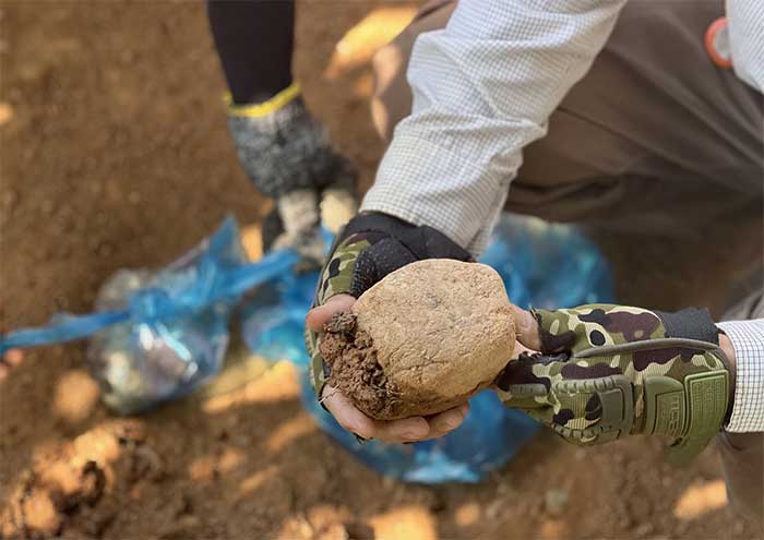 Picture 11 of Prehistoric vestiges discovered in Dak Nong through archaeological excavations