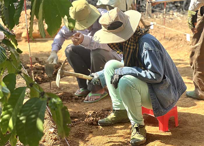 Picture 3 of Prehistoric vestiges discovered in Dak Nong through archaeological excavations