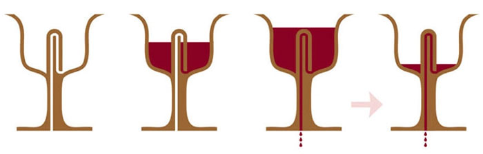 Picture 1 of Pythagoras taught greedy people with just a special cup