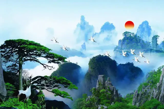 Picture 2 of Rare 'money tree' growing precariously on a cliff: Bodyguards guard it 24/7, using magnifying glasses to examine the leaves to 'check its health'