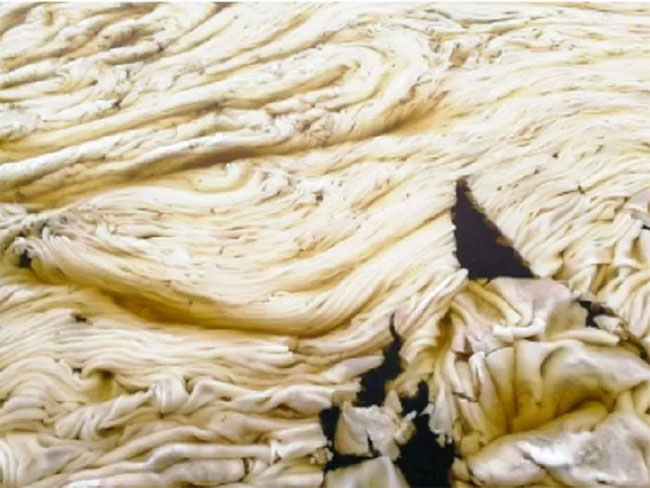 Picture 5 of Rare phenomenon: Strange 'Ice Grease' in St. Petersburg