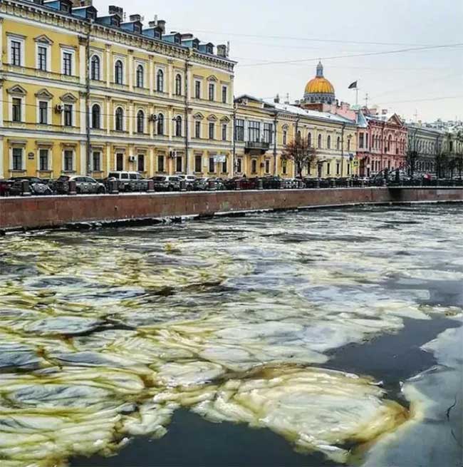 Picture 7 of Rare phenomenon: Strange 'Ice Grease' in St. Petersburg