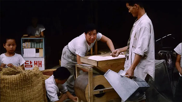 Picture 6 of Rare photos capture life in Korea 70 years ago