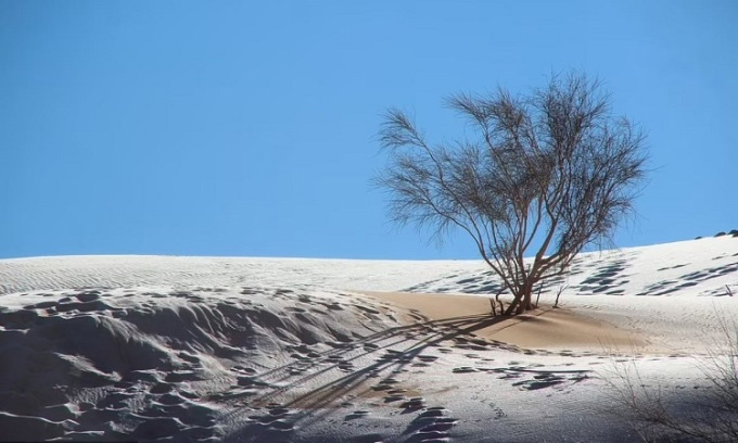 Picture 2 of Rare snow covers the Sahara desert