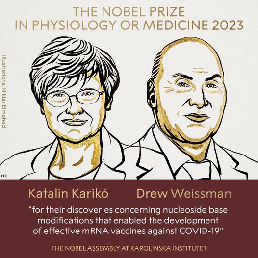 Picture 1 of Research on mRNA vaccine to prevent Covid wins the 2023 Nobel Prize in Biomedicine