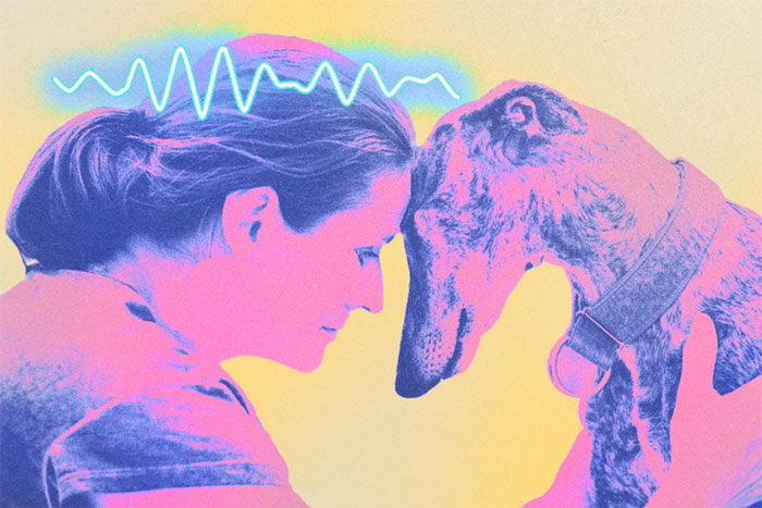 Research shows that dogs help people increase their ability to concentrate Picture 1