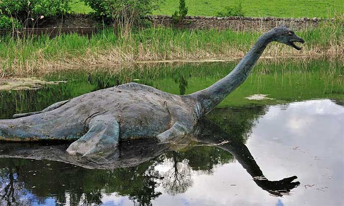 Picture 2 of 'Resurrecting' ancient creatures into robots