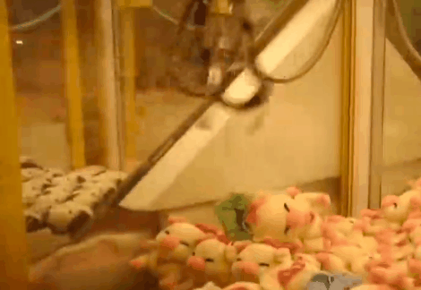 Revealing the secret inside the stuffed animal claw machine, from there, summarizing experience to help you increase your winning rate many times over Picture 9
