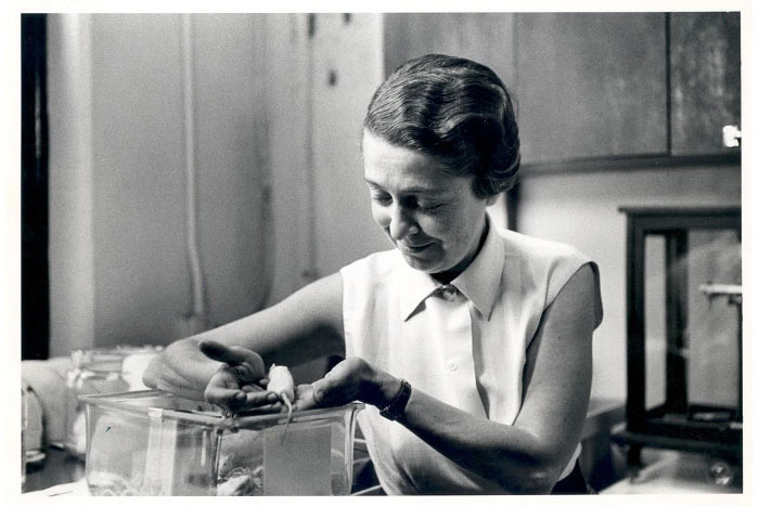 Picture 1 of Rita Levi-Montalcini - Someone who made many contributions to Italian science