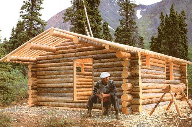 Robinson in real life: Living alone in the wild for 30 years before passing away at the age of 83 Picture 3