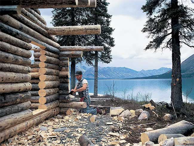 Robinson in real life: Living alone in the wild for 30 years before passing away at the age of 83 Picture 4