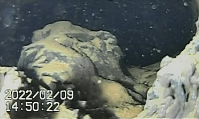 Robot captures molten radioactive fuel in Fukushima Picture 1