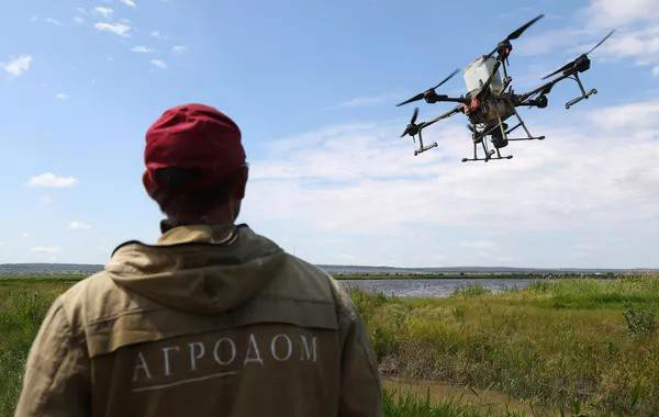 Russian farmers use drones to grow rice Picture 10