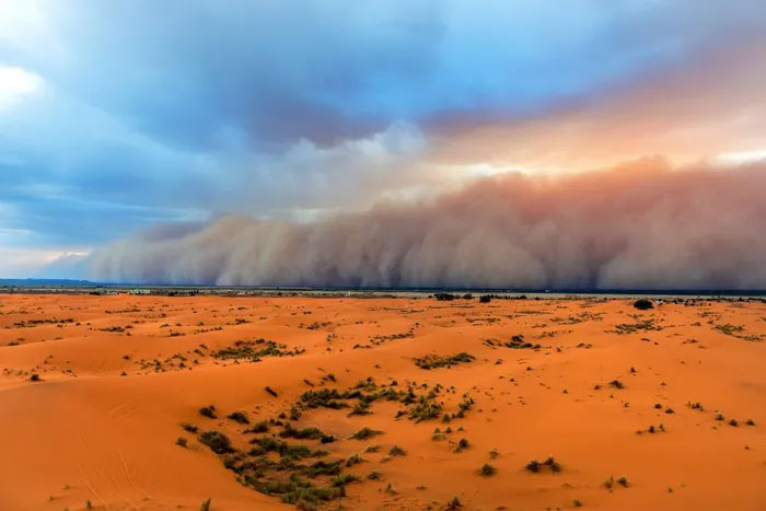 Picture 1 of Saharan dust is important for ecological protection and climate change