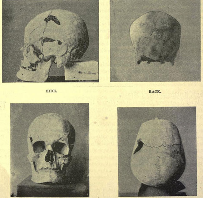 Picture 3 of Sa-Nakht: Who is the giant pharaoh who ruled ancient Egypt 5000 years ago?