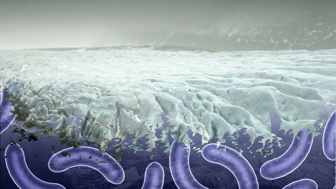 Picture 2 of Science awakens 48,500-year-old 'sleeping' virus for surprising reason