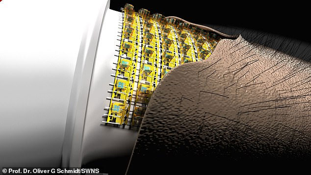 Picture 3 of Scientists develop electronic skin that integrates artificial hair identical to human skin