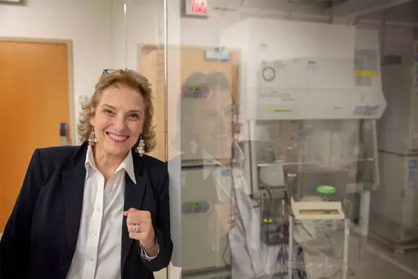 Scientists grow hearts to transplant to humans Picture 1