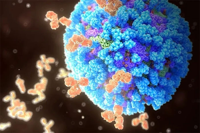 Picture 1 of Scientists have just discovered the secret of the flu virus
