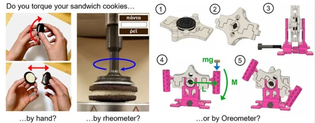 Picture 2 of Scientists publish groundbreaking study on the process of separating Oreo cookies so that the two halves are equal