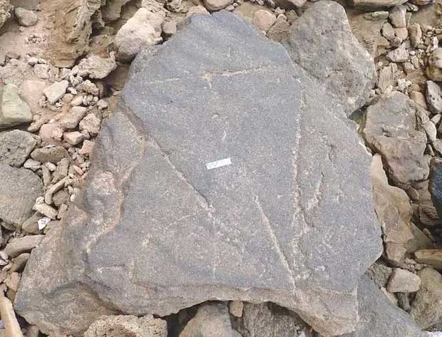 Picture 1 of Scientists rescue half-ton 'evidence of human civilization' at the southern tip of the Black Continent