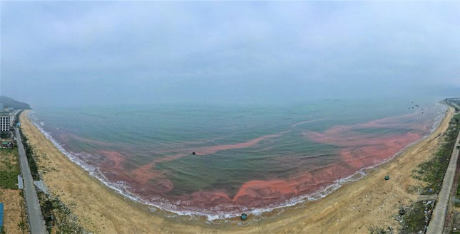 Picture 1 of Sea water in Cam Xuyen district, Ha Tinh appears a strange red streak 3km long