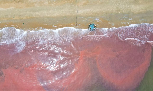 Picture 3 of Sea water in Cam Xuyen district, Ha Tinh appears a strange red streak 3km long