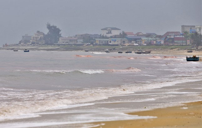 Picture 4 of Sea water in Cam Xuyen district, Ha Tinh appears a strange red streak 3km long