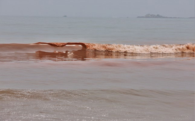 Picture 5 of Sea water in Cam Xuyen district, Ha Tinh appears a strange red streak 3km long