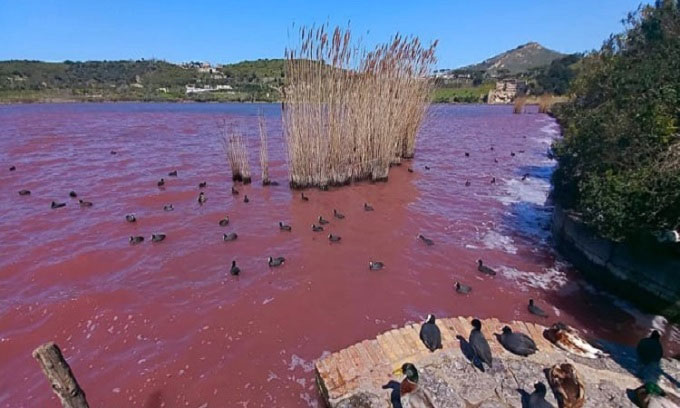 Sea water suddenly turns red around the super volcano Picture 1