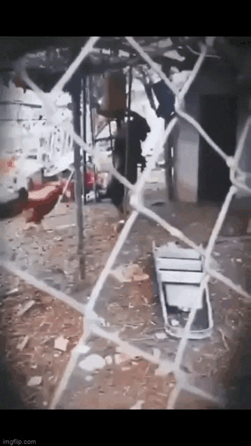 Picture 2 of Seeing the goat walking on two legs, the owner took out his phone to record, what happened next caused shivers