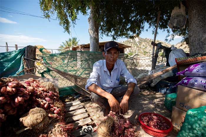 Picture 10 of Severe drought in the Central region caused flocks of Ninh Thuan sheep to die and the lake to have a bare bottom and crack