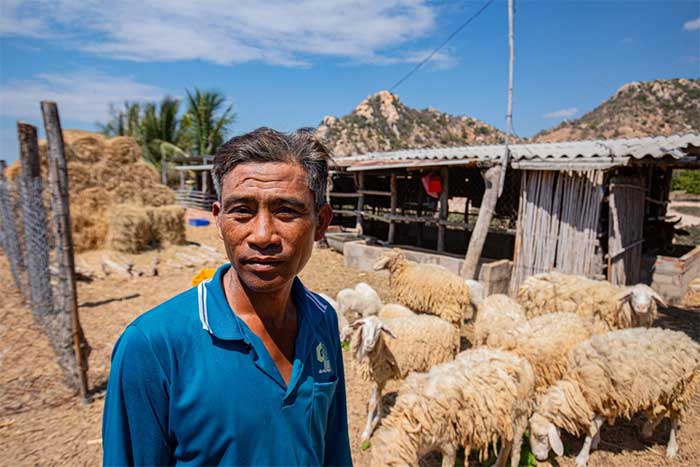 Picture 7 of Severe drought in the Central region caused flocks of Ninh Thuan sheep to die and the lake to have a bare bottom and crack