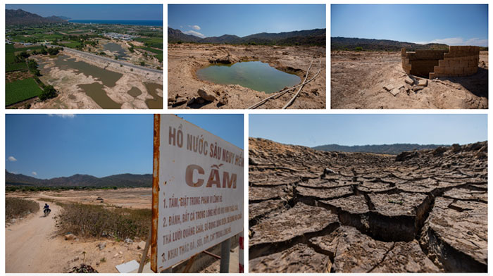 Picture 9 of Severe drought in the Central region caused flocks of Ninh Thuan sheep to die and the lake to have a bare bottom and crack