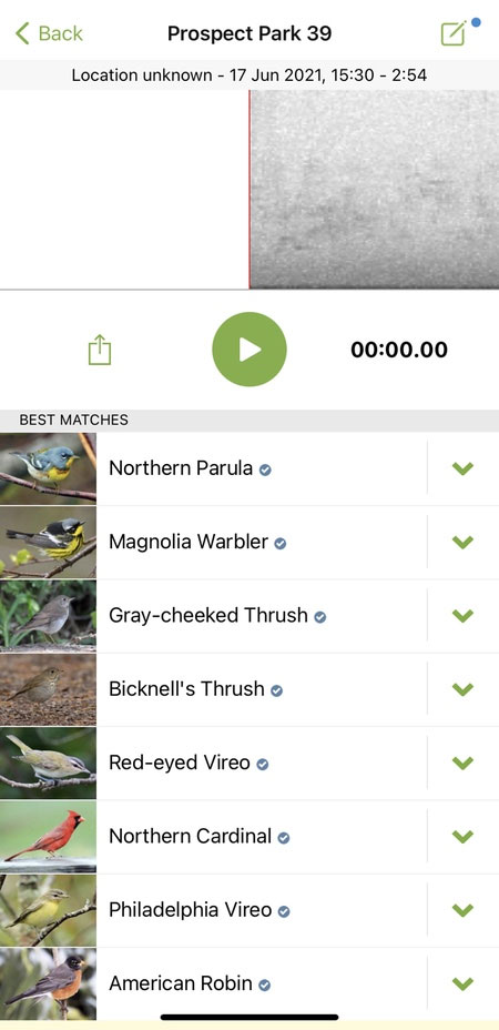 'Shazam for birds' app detects songs with incredible accuracy Picture 3
