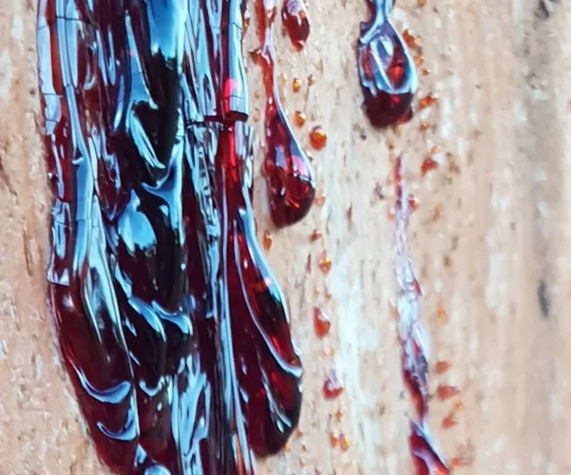 'Shiver' at the plant that bleeds like humans! Picture 2