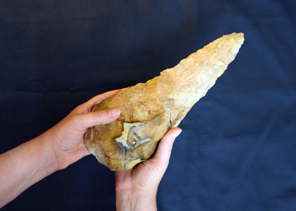 Picture 1 of 'Shocking' 300,000-year-old treasure buried by another species unearthed