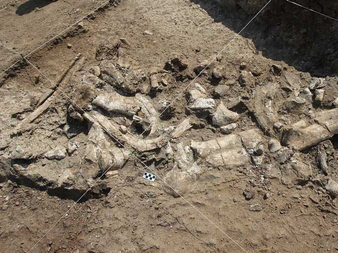 Picture 1 of Shocking discovery: 3 million year old 'technology item' not made by humans